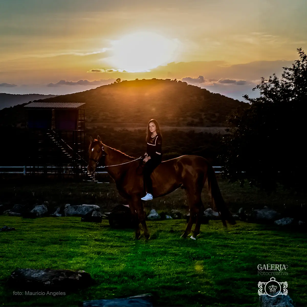 Creatividad humana vs. tecnología sintética: el dilema de la fotografía ante la IA