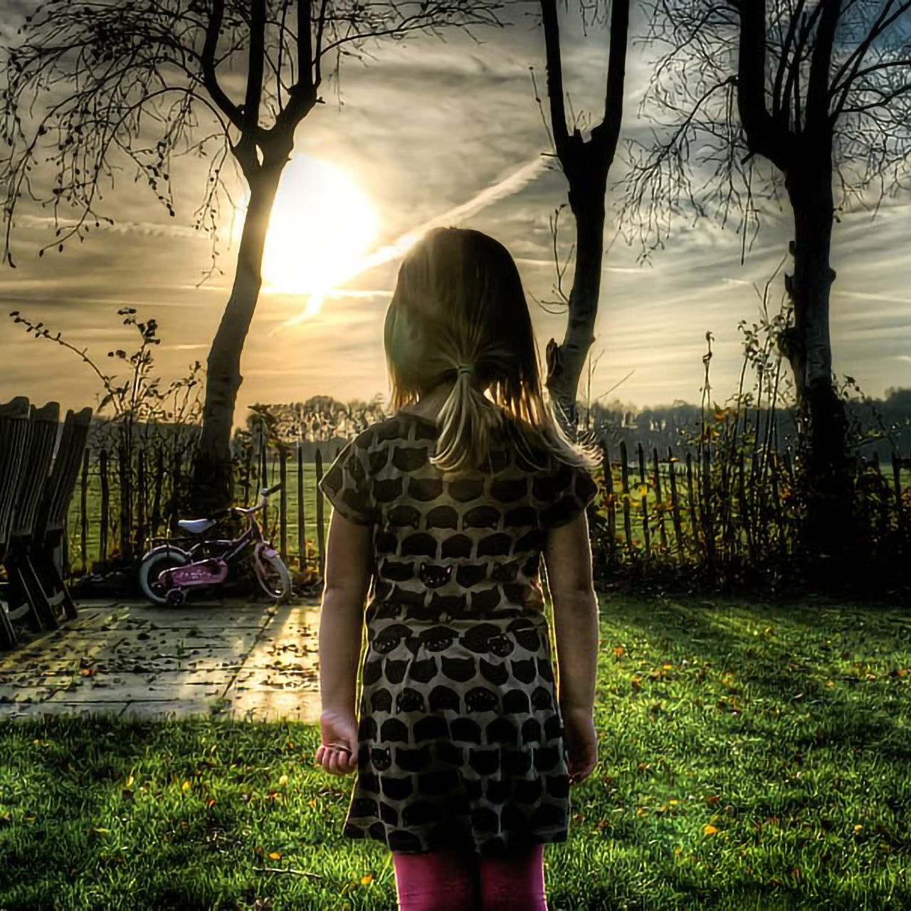 High Dynamic Range: Permite una representación más fiel a la percepción humana del mundo